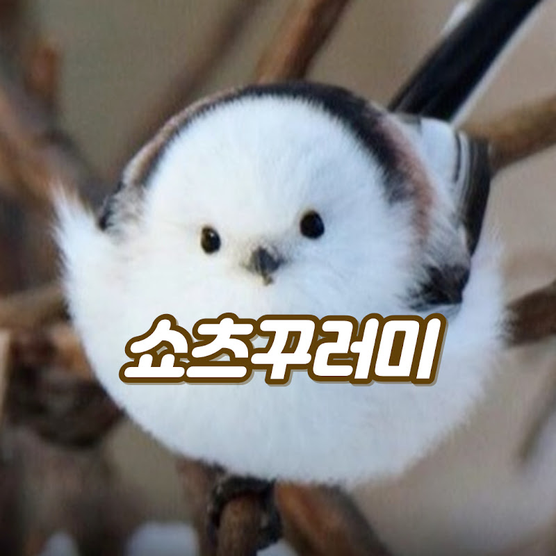 쇼츠꾸러미