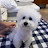 @케이지엘-c5c