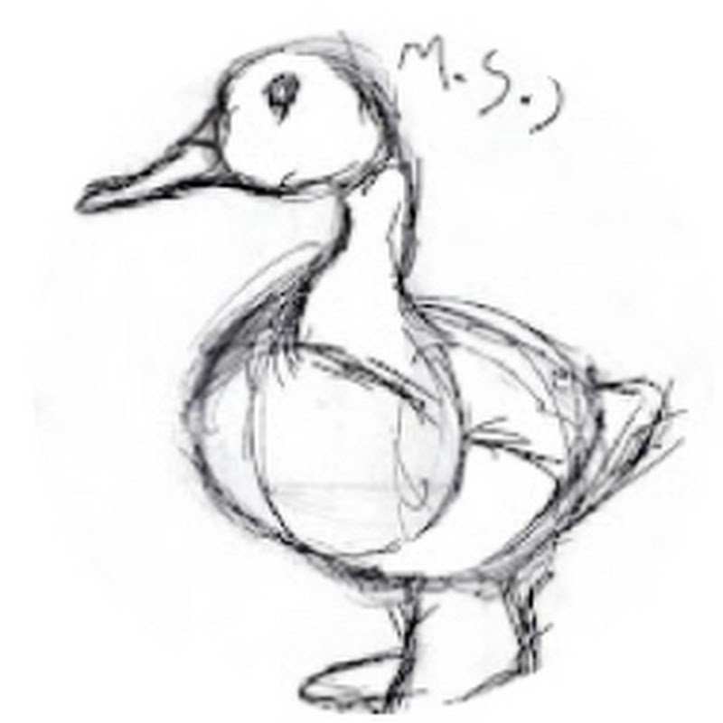 Miss Duck