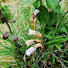 fDVJ_b2nU7g-channel-avatar-WONDERS OF NATURE271
