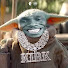 zhOPxcfz06k-channel-avatar-Vesachey