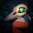 TTNafqT0CFk-channel-avatar-Kingfisher
