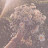 @tasya-f4f Avatar