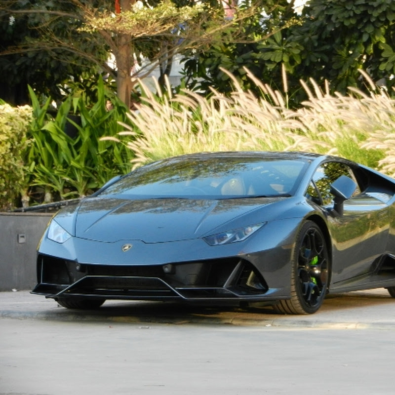 Carguy Nikunj