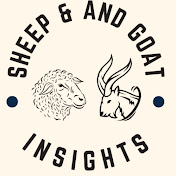 Sheep Goat Insights