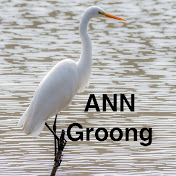 Armenian News Network - Groong Podcast
