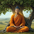 elDxS1MP3Cs-channel-avatar-MydhammaCollection
