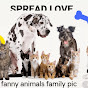  Fanny animals lovers logo