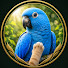 FSw-TkYQDuU-channel-avatar-Emerald Parrot Watch