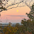 npIfTAm8Zqw-channel-avatar-MK Ali