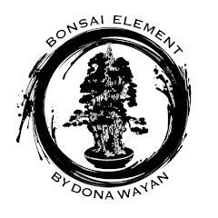 Логотип каналу Bonsai Element