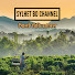 E2_-Q9nRC9M-channel-avatar-Sylhet BD Channel