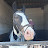 @Dandelion_EQ