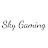 SkyGaming