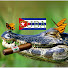 gwp-FvfeOos-channel-avatar-CUBA 🇨🇺 Humor y Vida