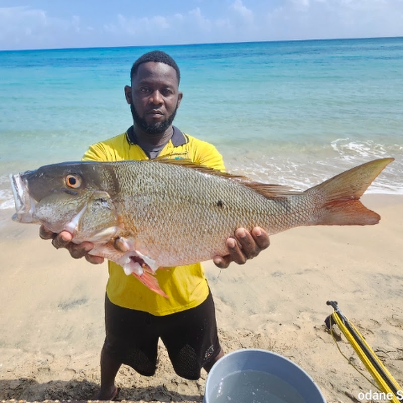 Odane Spearfishing Lifestyle