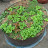 @user-nv1rk4cl6p