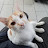 @PhuongPham-mo1ir's avatar