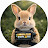 @Animalcamexplore Avatar