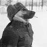 Автор