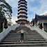 -C_5mPKorzw-channel-avatar-Mạnh Hoa Hồng