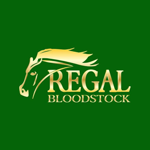 Regal Bloodstock Video Updates