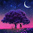 @bouakazdjamila4259