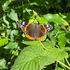 Pasiunea mea pentru gătit 🧑‍🍳 