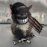 ShLNIbui-mA-channel-avatar-Quedubien