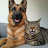 @Itsrainingcatsdogs-dti