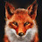 fox 9734
