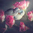 @abraraya9551