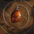 nMDoibpCJIU-channel-avatar-MTG MOX MAN