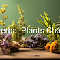 Hérbal Plant's Channel logo
