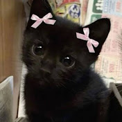 TheWorldofCats