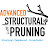 @AdvancedStructuralPruning