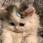 xuanlofi Avatar