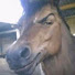 XKLA6aLpvMc-channel-avatar-UnTiedSocks