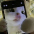 gi63HZrcdXw-channel-avatar-nini