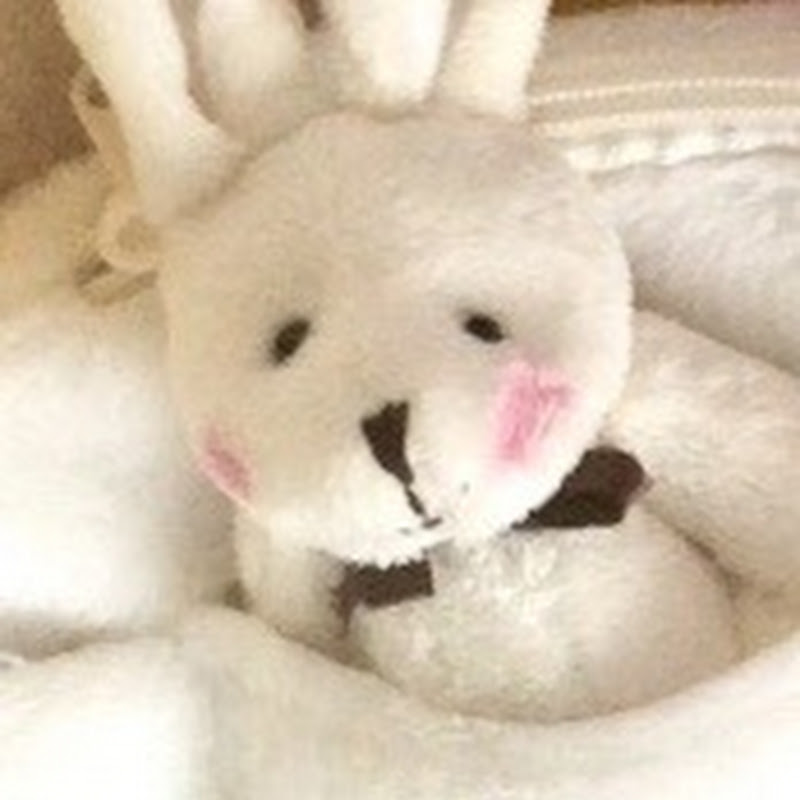 파워볼 수익팀200