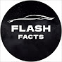 FlashFacts Avatar