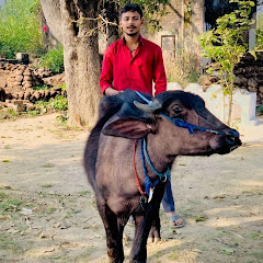 Ashwani Nangli jhota race