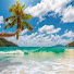 HbIvmAPsz48-channel-avatar-TropicTruth