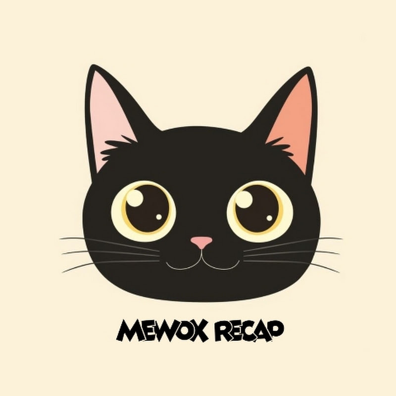 MeowX Recap