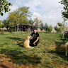 Автор