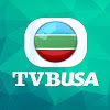 What could TVB USA Official buy with $6.48 million?
