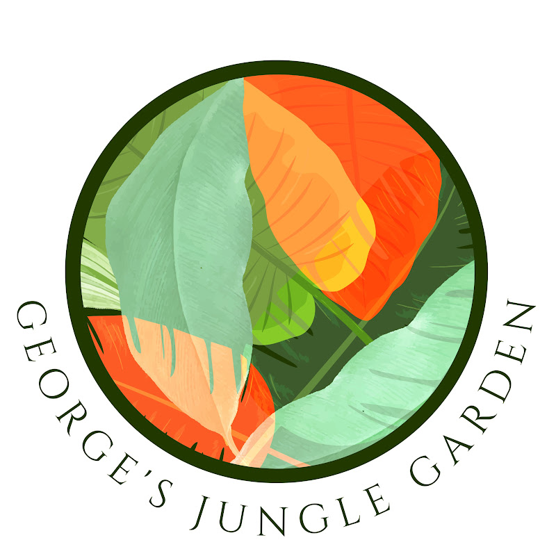 George’s Jungle Garden
