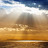 @markwest9119's avatar
