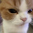 @user-mi2et8bh2v