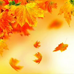 毎日2chでリラックス